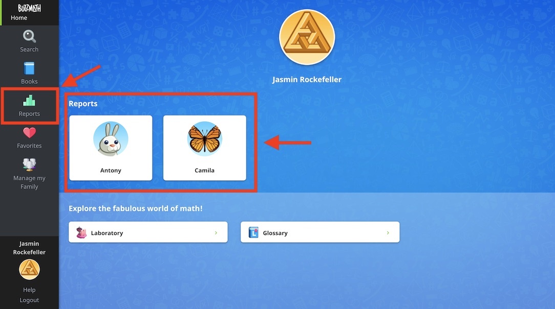 Buzzmath reports